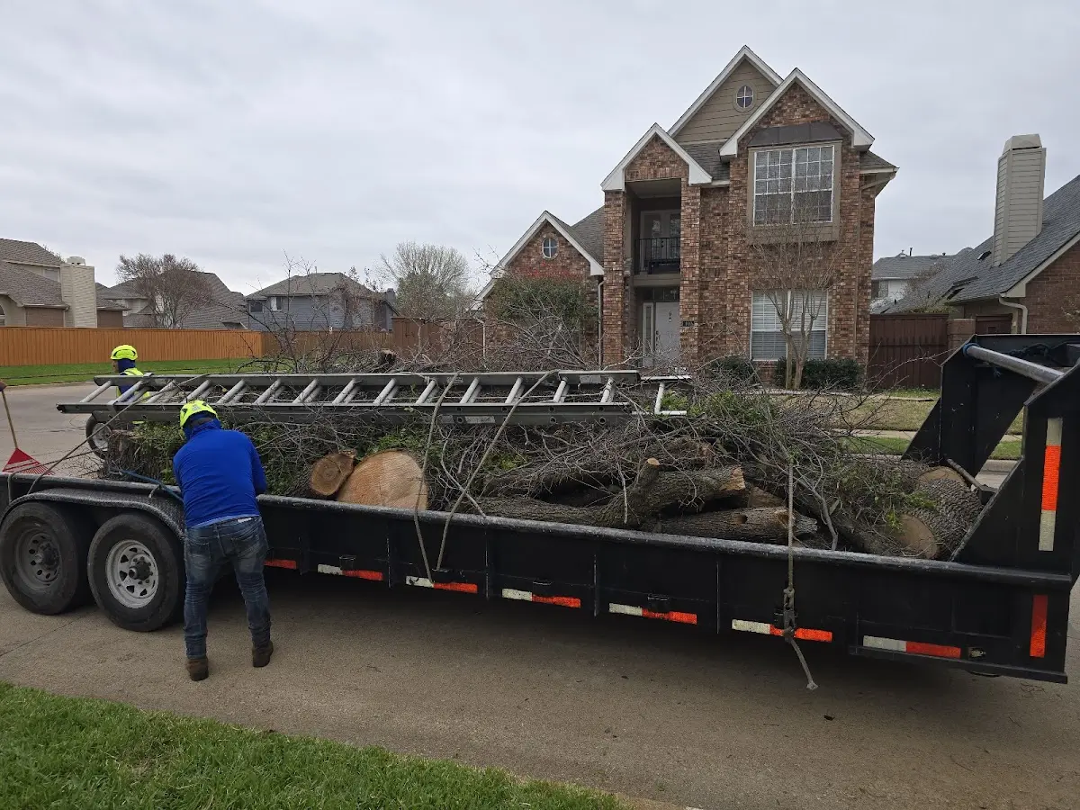 Expert Tree Fertilization with proper safety equipment in West Salem